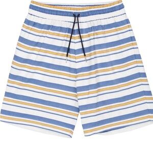 Aime Leon Dore Blue and Yellow Striped Swim Trunks